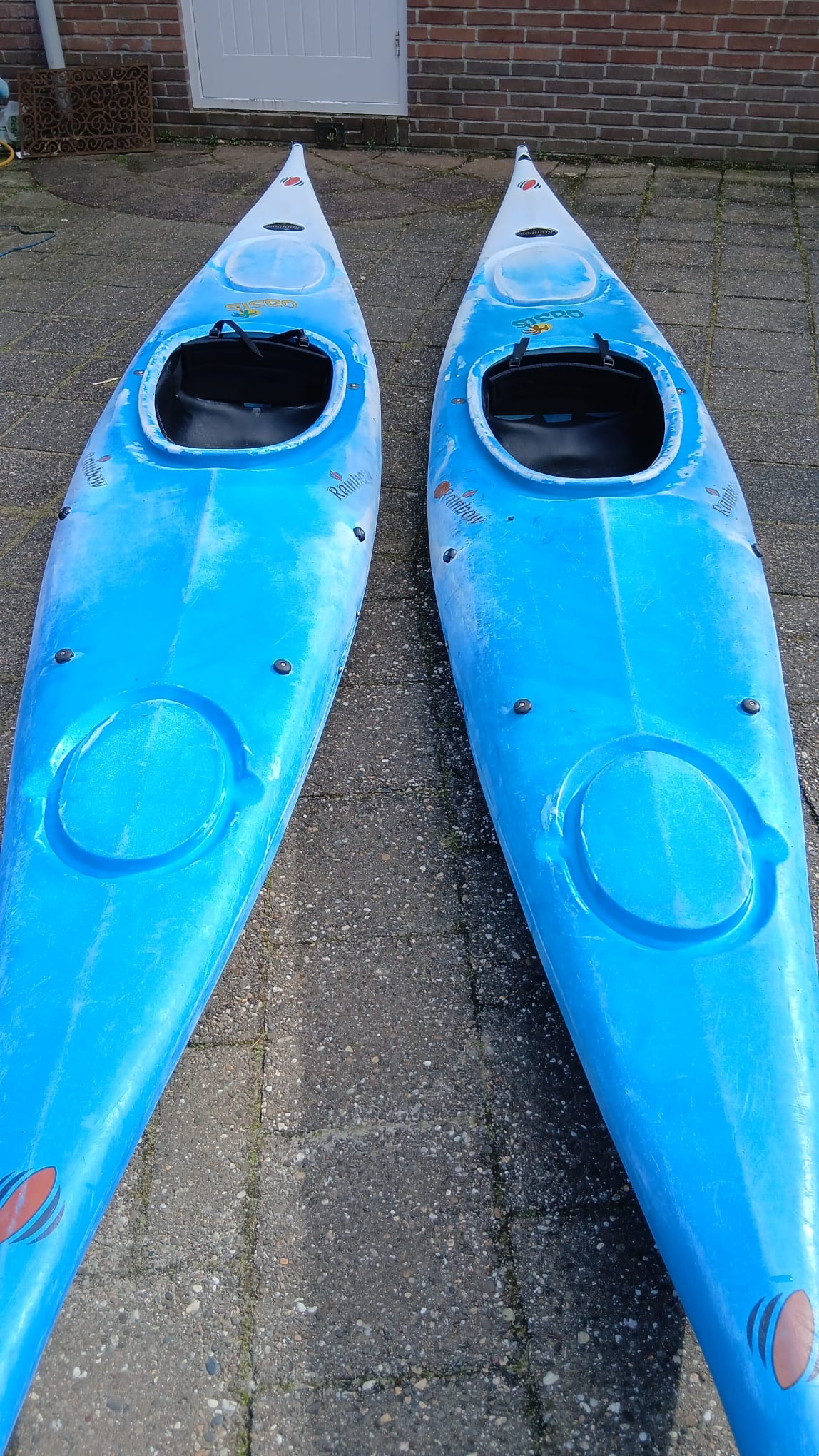 keurige Rainbow, type Oasis